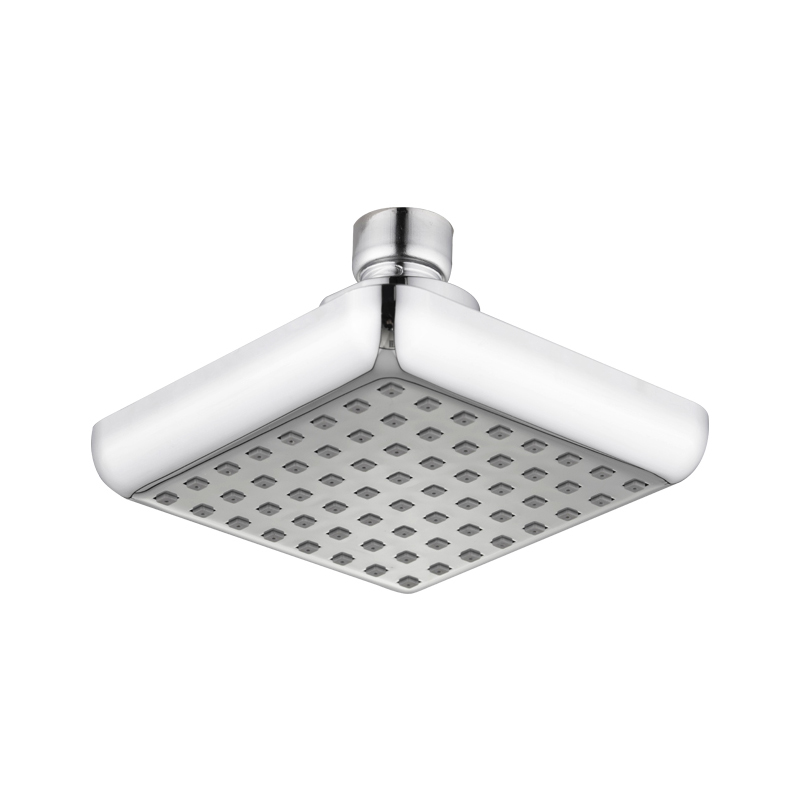 two in one shower head