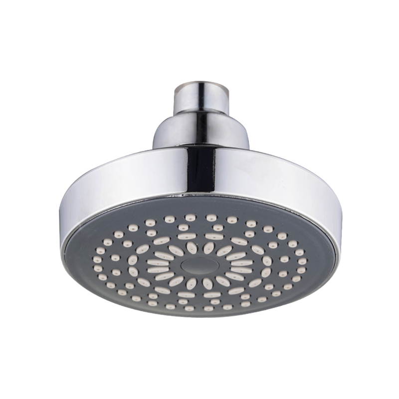 two person shower head