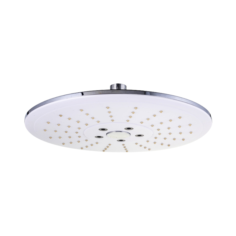 300 hole shower head