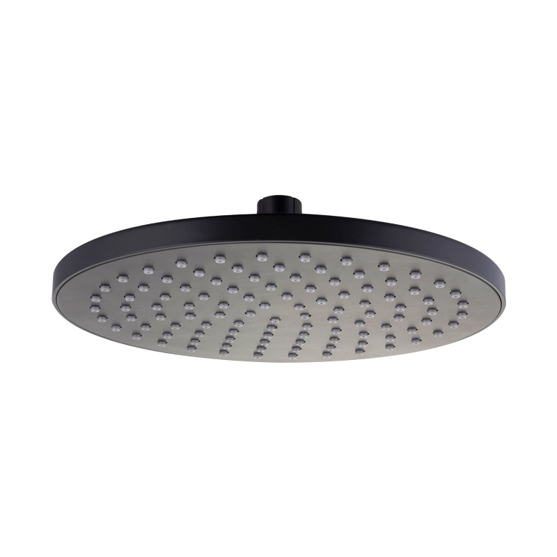water heater for shower head