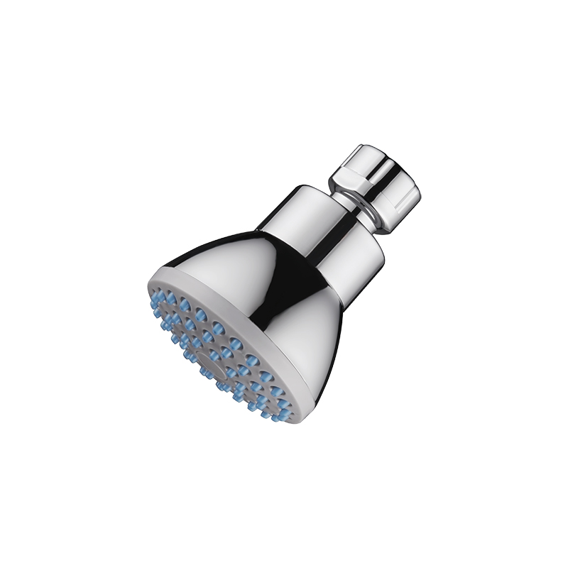 aged brass shower head