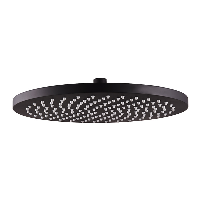 wand shower head