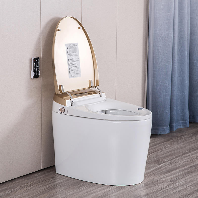 Japanese Luxury Bathroom Ceramic Automatic Flushing Siphon Haute Pression Drain Smart Automatic WC Toilet